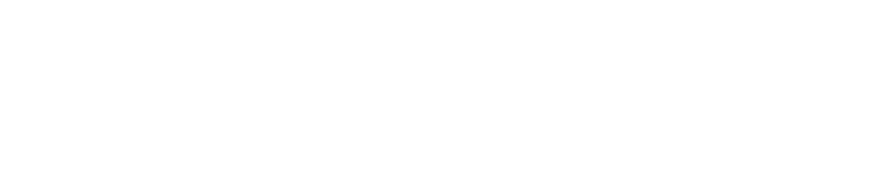 Nemesis Telecom